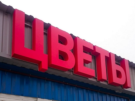 цветы